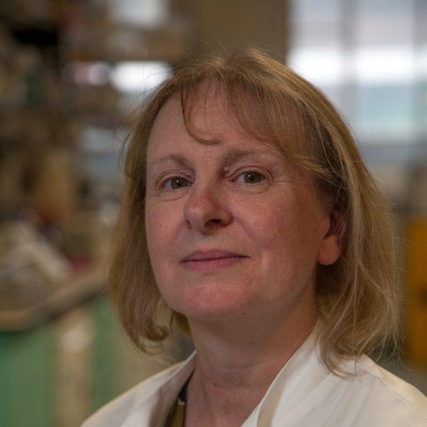 Profile photo for Louise Jones